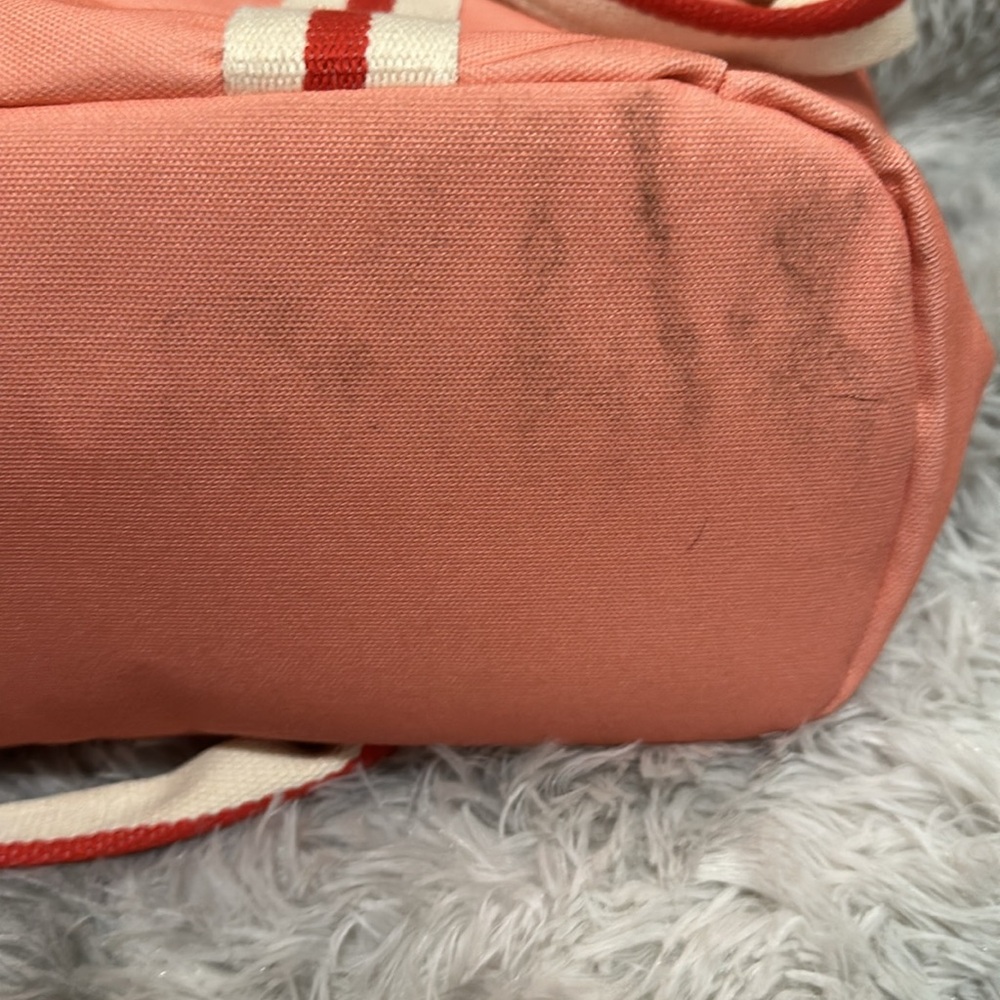 L*Space Coastal Cooler Bag in Coral NWT FabFitFun - Picture 4 of 4